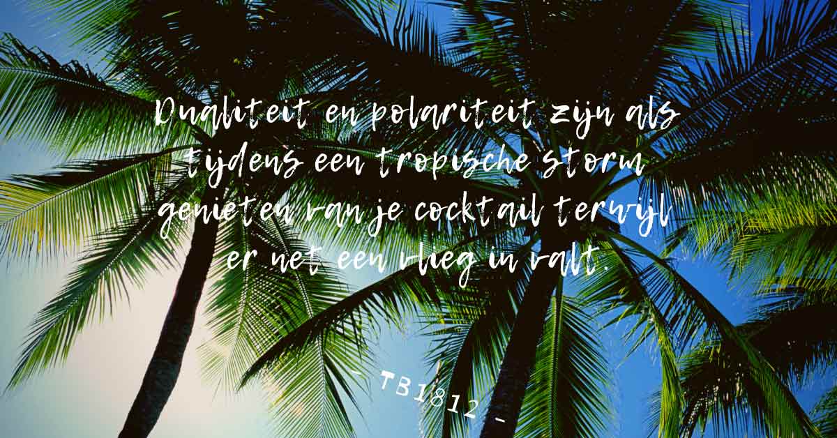 dualiteit polariteit